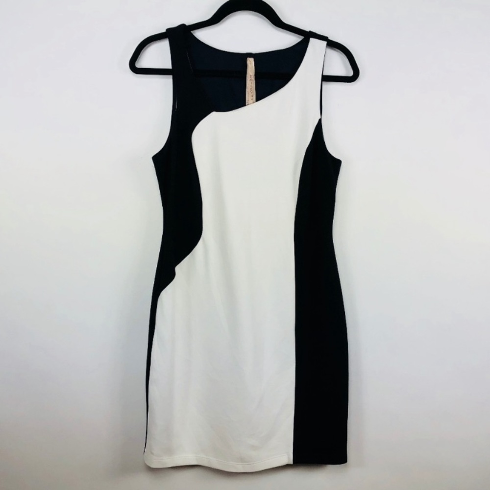 Anthropologie Bailey 44 Color-block Dress!  ❤️